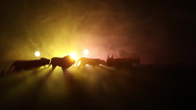 在雾蒙蒙的夜晚，一群动物被聚集在一起，背景燃烧着五颜六色。为了从火中拯救生命而逃跑的动物。选择性聚焦