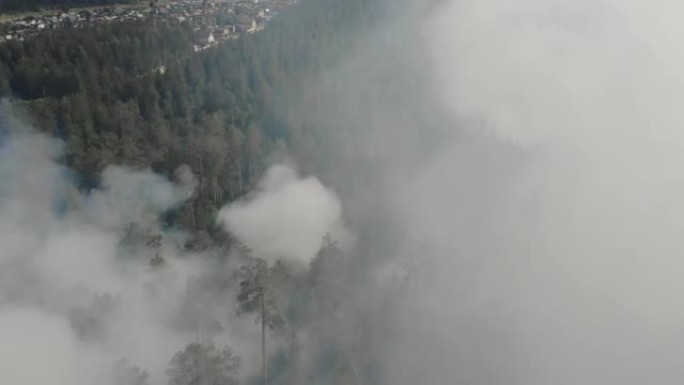 森林火灾-环境的危险自发性自然灾害