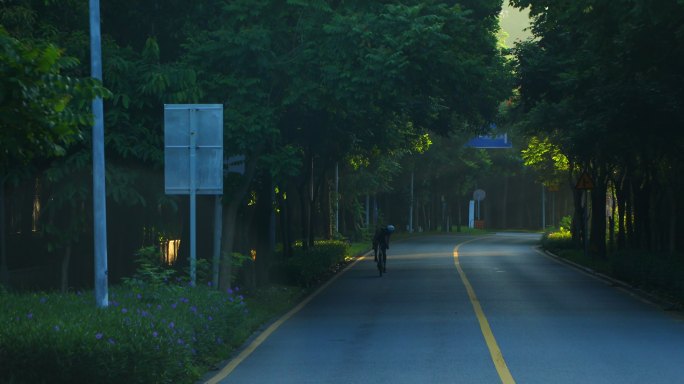 树荫下的炫光骑行爱好者竞速道路