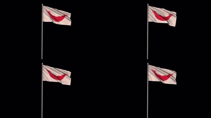 复活节岛拉帕努伊旗与阿尔法频道
