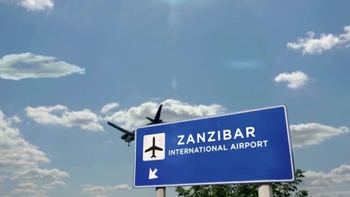 飞机降落在桑给巴尔坦桑尼亚机场