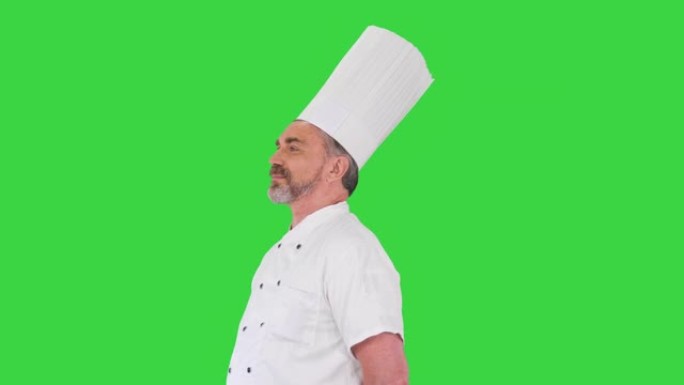 自信的高加索厨师站在绿色屏幕上无所事事，色度键