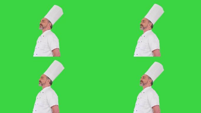 自信的高加索厨师站在绿色屏幕上无所事事，色度键