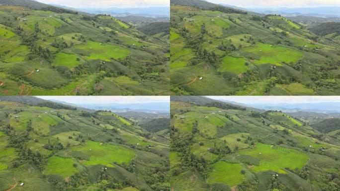 泰国清迈Mae Chaem Pa Pong Pieng的稻田。