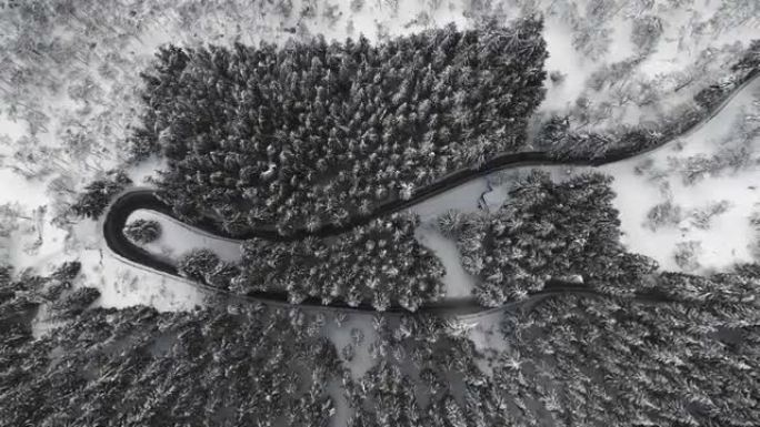 空中自上而下的无人机在意大利白雪皑皑的树木之间的蜿蜒山路上方射击。晚冬天气阴沉。没有汽车驶过弯道。直