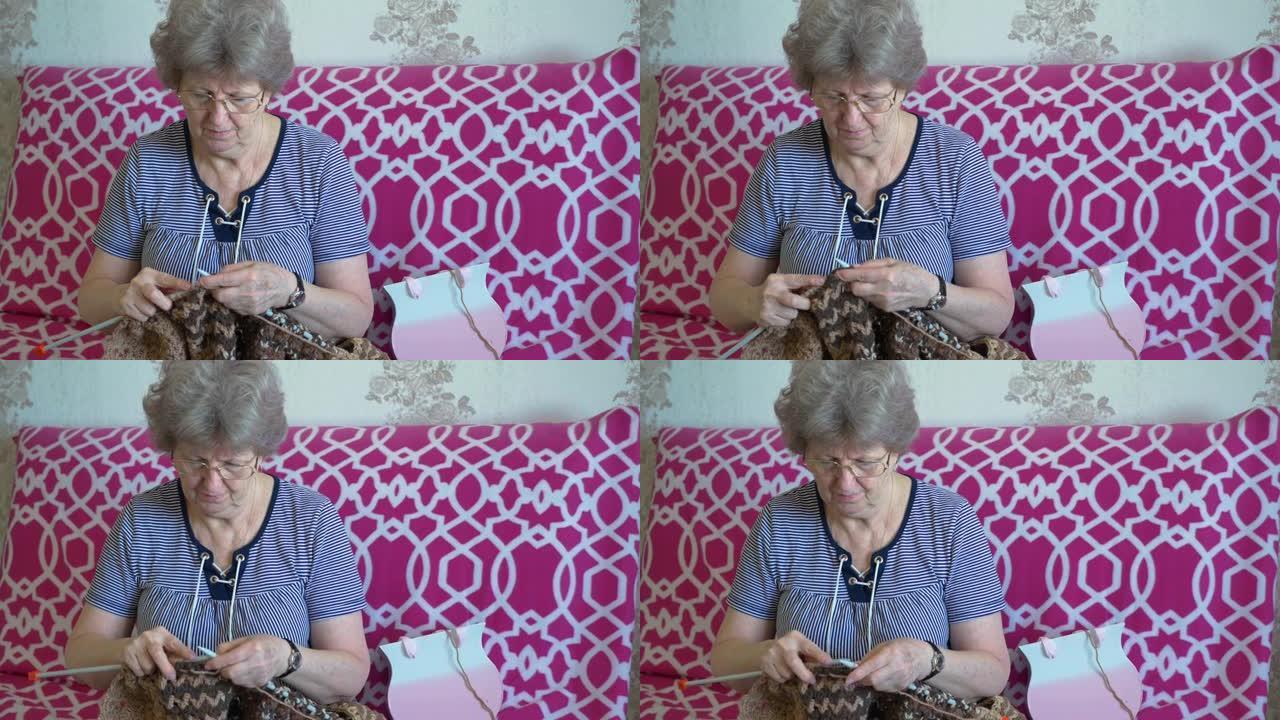 戴眼镜的奶奶用大织针编织一条漂亮的围巾
