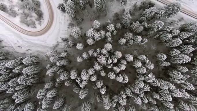 冬季白雪皑皑的针叶林和蜿蜒的蜿蜒道路的航拍镜头，从鸟瞰俯视图垂直拍摄