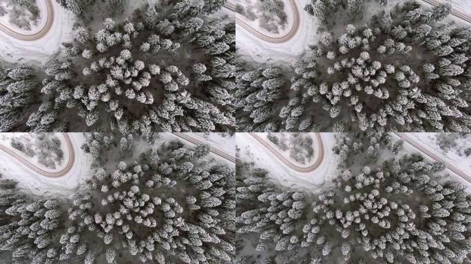 冬季白雪皑皑的针叶林和蜿蜒的蜿蜒道路的航拍镜头，从鸟瞰俯视图垂直拍摄