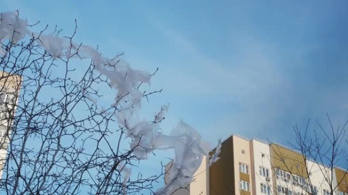 天气晴朗。蓝天。有两栋多层建筑。没有树叶的树。撕破的塑料袋挂在树枝上，在风中发展