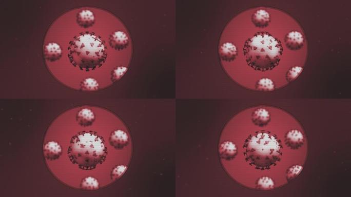 Corona病毒covid19传染性非典型肺炎显微镜下3D无缝循环。股票视频
