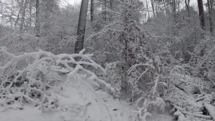 徒步穿越美丽的冬季森林，有雪，POV