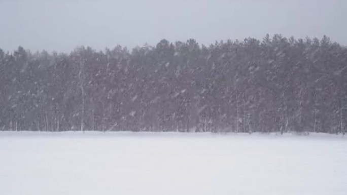 远处有森林的冰冻湖面上的极端暴风雪。冬天下大雪。