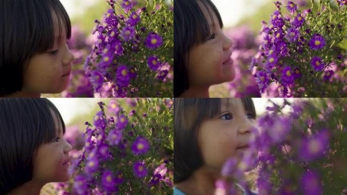 小女孩享受着田野盛开的花朵的美丽