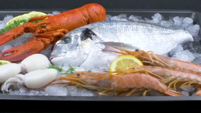 新鲜的鲷鱼，龙虾，虾和墨鱼在冰上配柠檬片