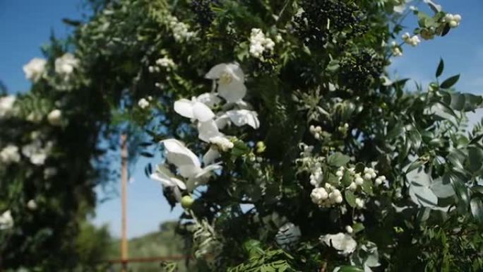 美丽的白玫瑰和绿色花瓣花卉装饰