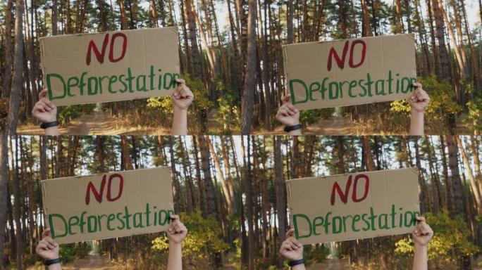 森林里没有森林砍伐纸板海报