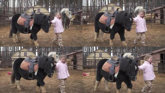 一个漂亮的女孩带着小马散步。孩子照顾宠物。牧场上的一个男人和一匹马带着缰绳在围场散步。