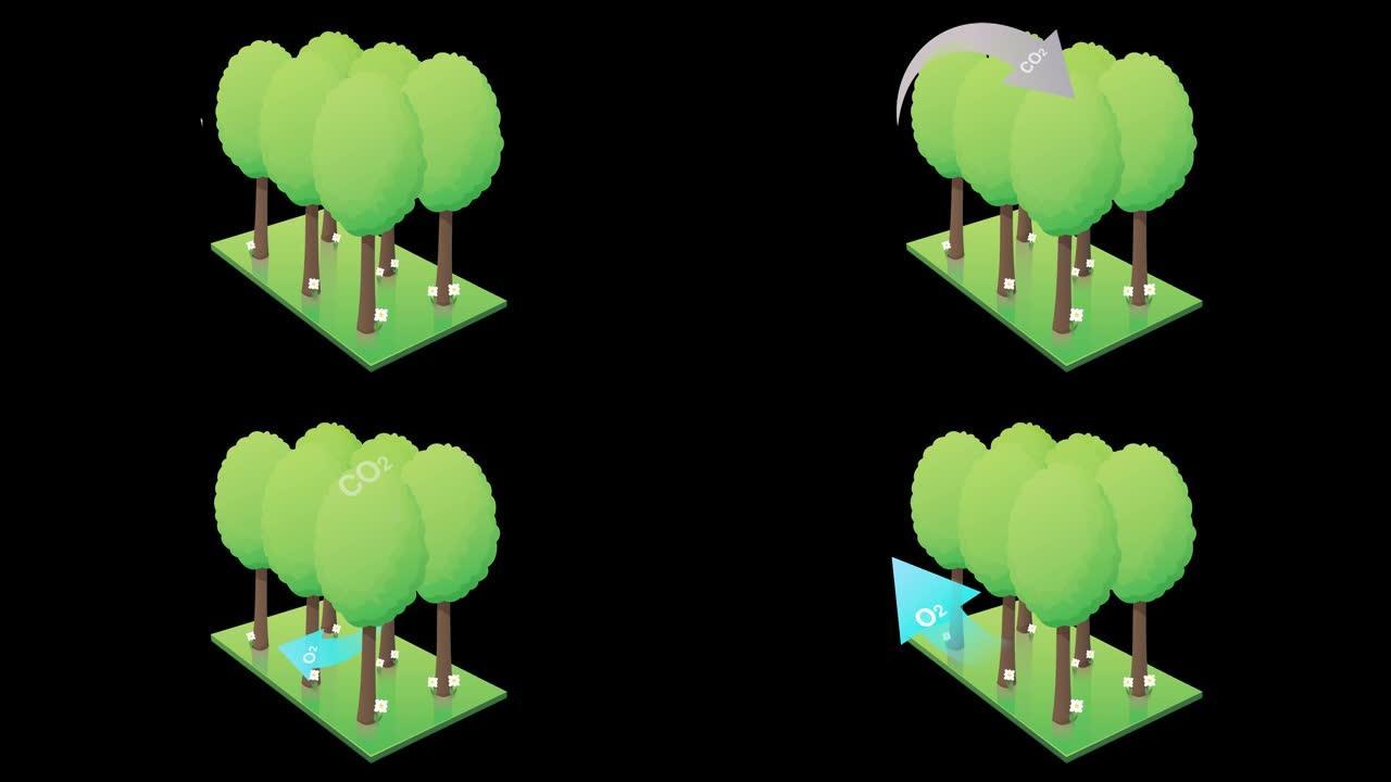 森林捕获的CO2和带有alpha通道的黑色背景上的氧气排放 (动画循环)