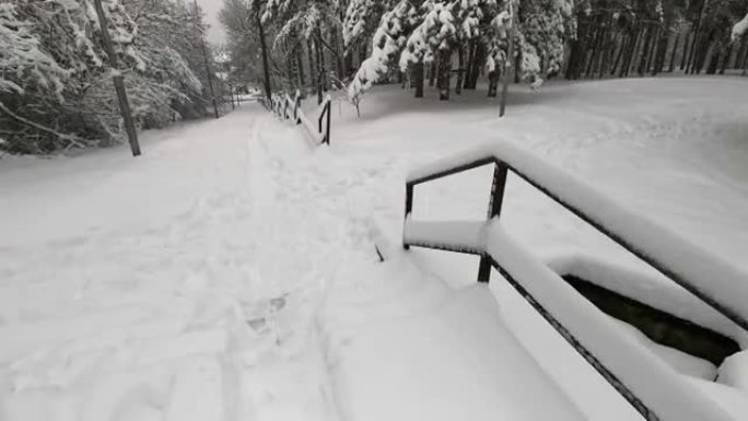 冬季观点。走下楼梯。在白雪覆盖的公园里的冬季森林里伐木、登山和徒步旅行。