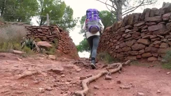 成年妇女背着背包沿着石墙和树根的路径行走
