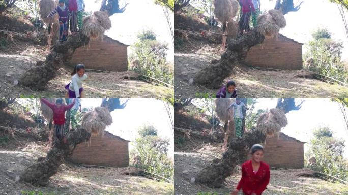 一群快乐的印度儿童从树枝上跳下来在村子里一起玩耍