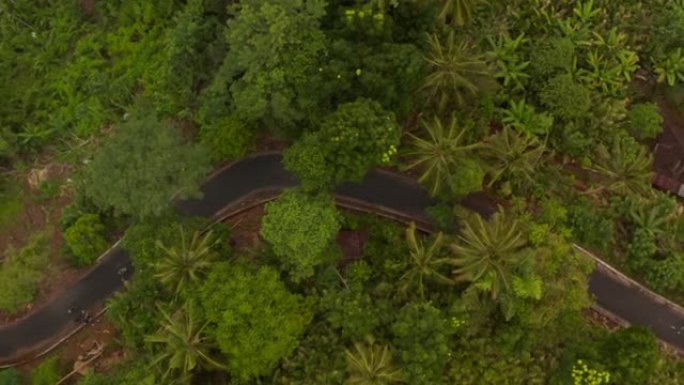 两辆摩托车在沥青路上驶过热带雨林的俯视图。印度尼西亚丛林道路上摩托车手的俯视图