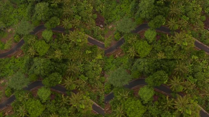 两辆摩托车在沥青路上驶过热带雨林的俯视图。印度尼西亚丛林道路上摩托车手的俯视图