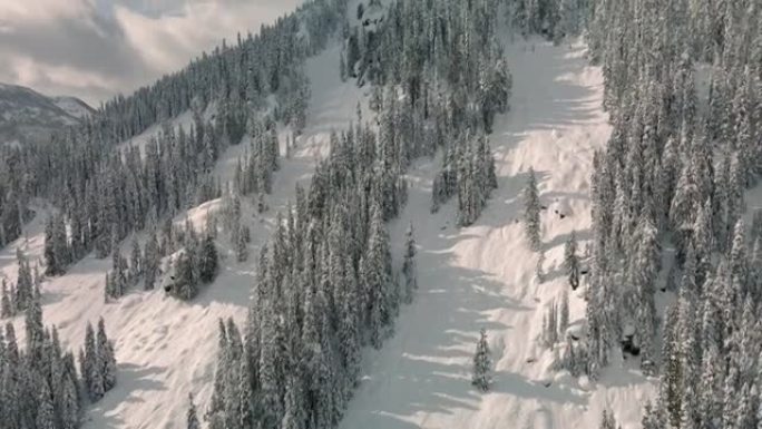 令人惊叹的山景鸟瞰图仰望雪峰在西北荒野