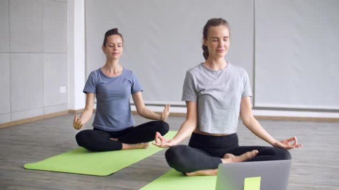 在家练习瑜伽的在线课程，两个白人女性在家学习瑜伽