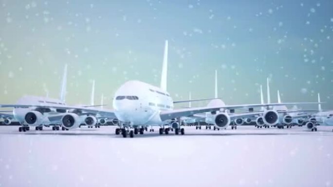 由于强烈的暴风雪和暴风雪，多架商用和私人飞机在机场停飞