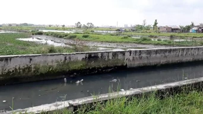 稻田周围肮脏的灌溉渠道