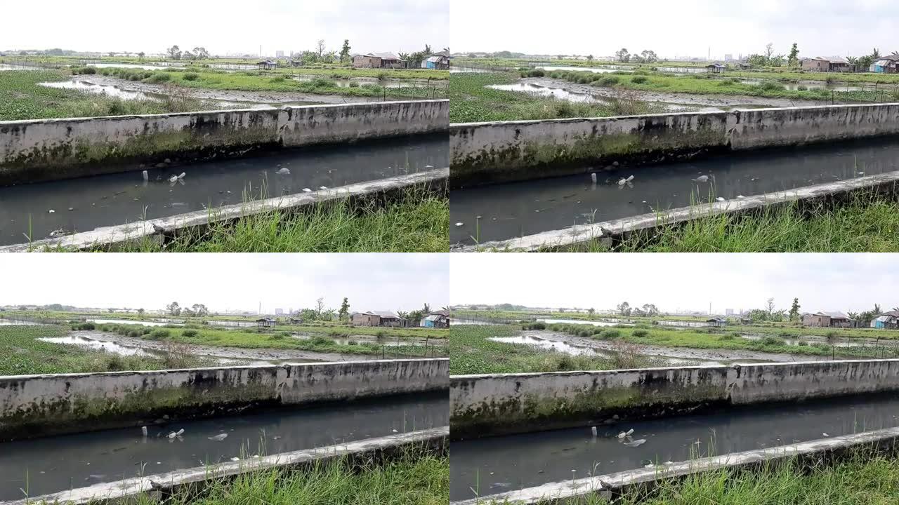 稻田周围肮脏的灌溉渠道
