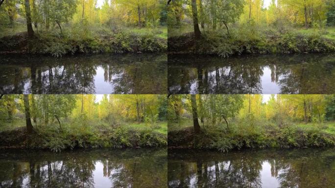 秋天的溪流，树叶慢慢顺流而下，金色的色彩和宁静的气氛。