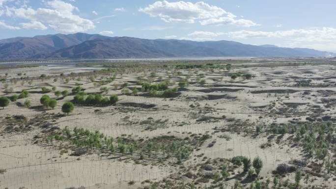 沙漠  科技 防沙治沙 绿化 中国西部