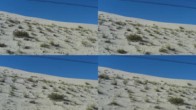 治沙人 黄河湾道 大漠黄沙 沙坡头