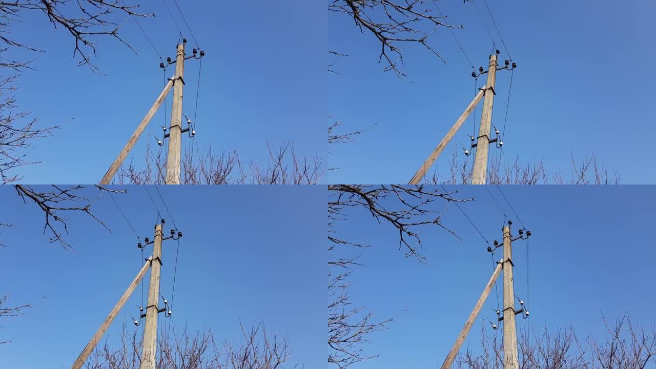 蓝天下有电线和裸露树枝的电柱。