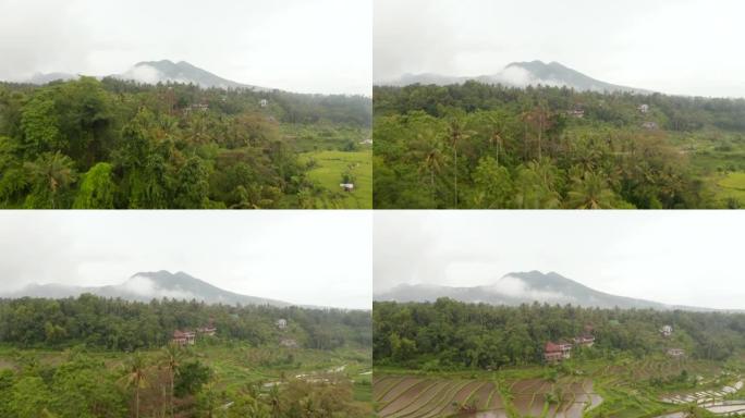 亚洲的热带雨林和稻田，背景是孤独的山峰。印度尼西亚巴厘岛丛林中的农场种植园的鸟瞰图