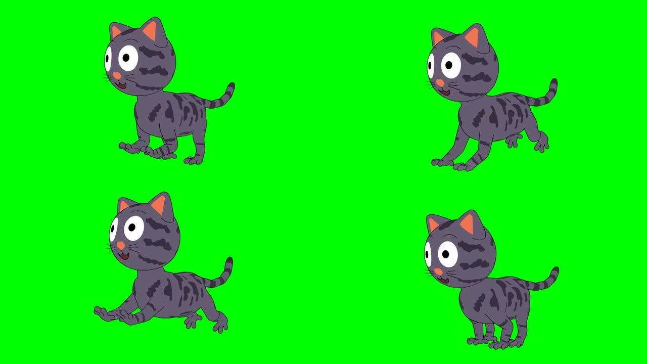 猫跑动画。