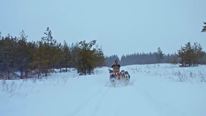 一个团队中的狗正在沿着雪道带一个男人，赛狗。爱斯基摩犬在白雪皑皑的平原上快速奔跑，这是美丽的冬季景观