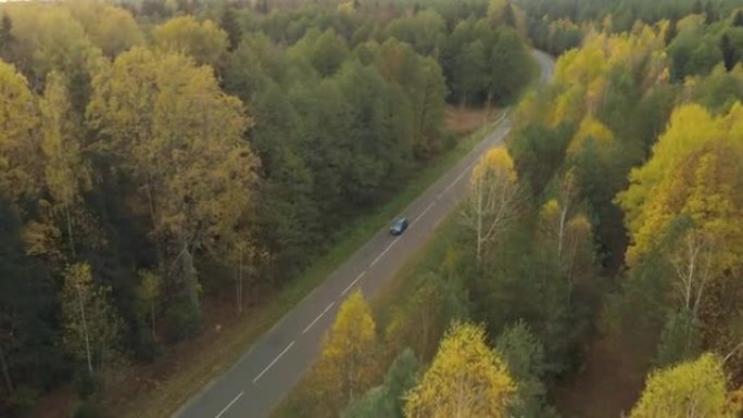 汽车在林区的空旷道路上行驶