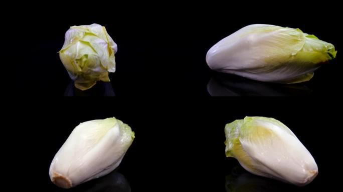 菊苣沙拉在4k的黑色背景上旋转。新鲜比利时菊苣的特写镜头。