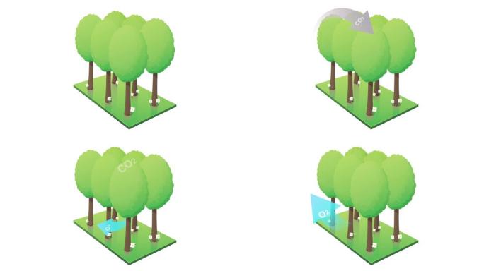 森林捕获的CO2和白色背景上的氧气排放 (动画循环)