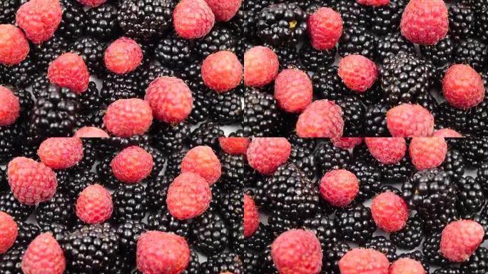 树莓和黑莓的成熟生浆果，背景