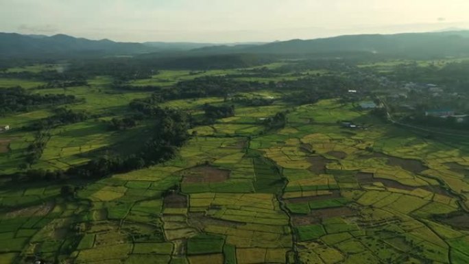 空中视野农业领域