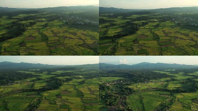 空中视野农业领域