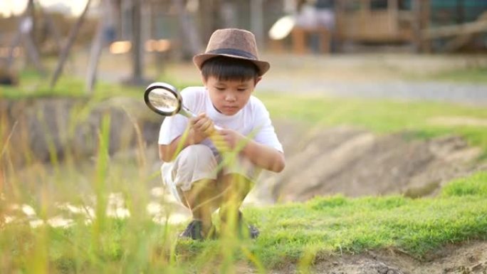 孩子在农场用玻璃放大镜在户外学习和玩耍。概念自学与环境