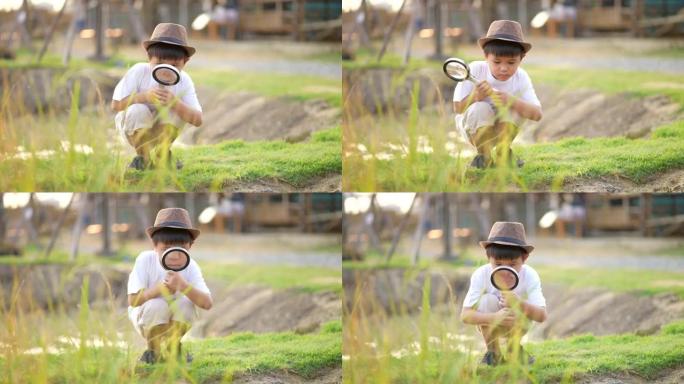 孩子在农场用玻璃放大镜在户外学习和玩耍。概念自学与环境