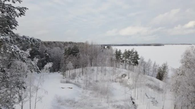 芬兰Huhtiniemi拉彭兰塔的雪景
