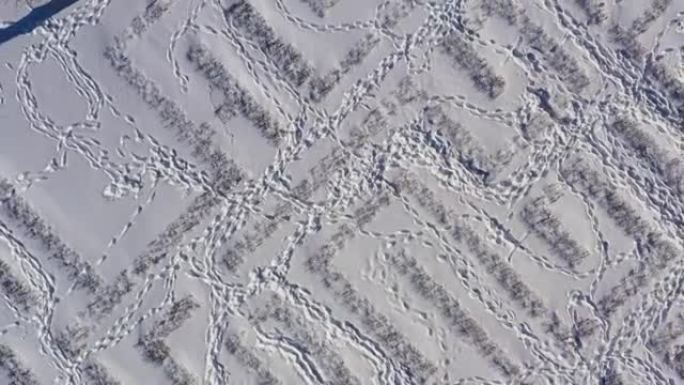 装饰迷宫中雪中人脚的痕迹。鸟瞰图。冬天阳光明媚的寒冷日子里，城市公园在雪地里。自然和新鲜空气。冬季背