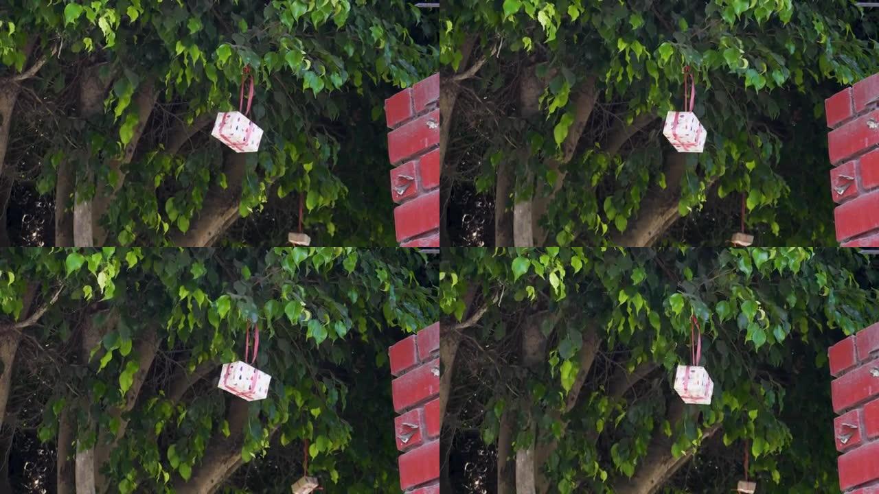 4k白天挂在街上一棵树上的生日礼盒特写